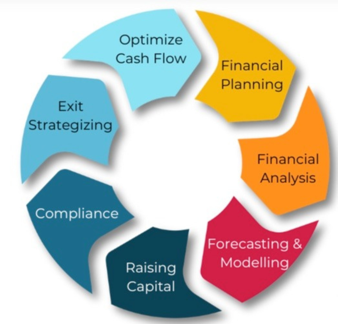 Financial capabilities: cash flow optimization, planning, analysis, exit strategy, compliance, raising capital, forecasting and modeling